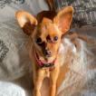 Melita, Chihuahua