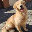 Jake