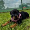 Lucy