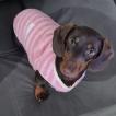 Luna, Dachshund (Pelo Largo)