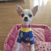 Ravena, Chihuahua