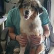 Murphy