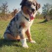 Murphy