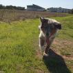 Murphy