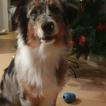Murphy