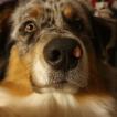 Murphy