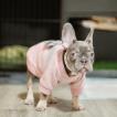 Viva, French bulldog