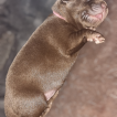 Rubí
