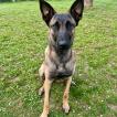 Nalla