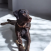 Rubí