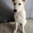 Lumi