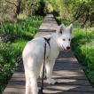 Lumi