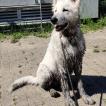 Lumi