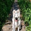 Lumi
