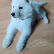 Lumi