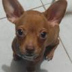 Milán