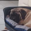 OSKAR