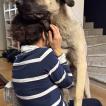 Hakan, Kangal