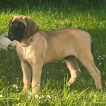 BAKY