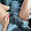 Bang, Labrador Retriever