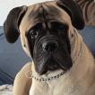 OSKAR