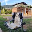 Lhotse, Malamute
