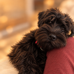Ralph